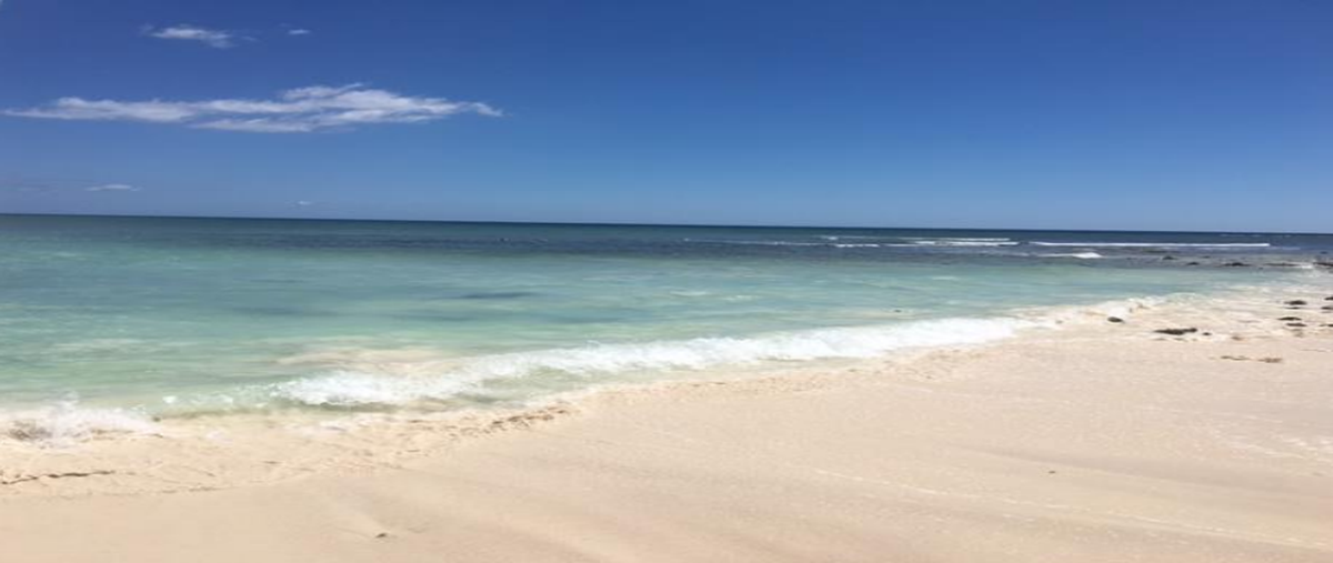 Foto de terreno habitacional en venta en puerto morleos , puerto morelos, puerto morelos, quintana roo, 20507844 No. 05