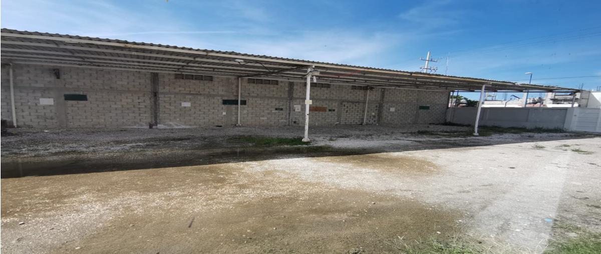 Foto de oficina en renta en  , puerto pesquero, carmen, campeche, 0 No. 05