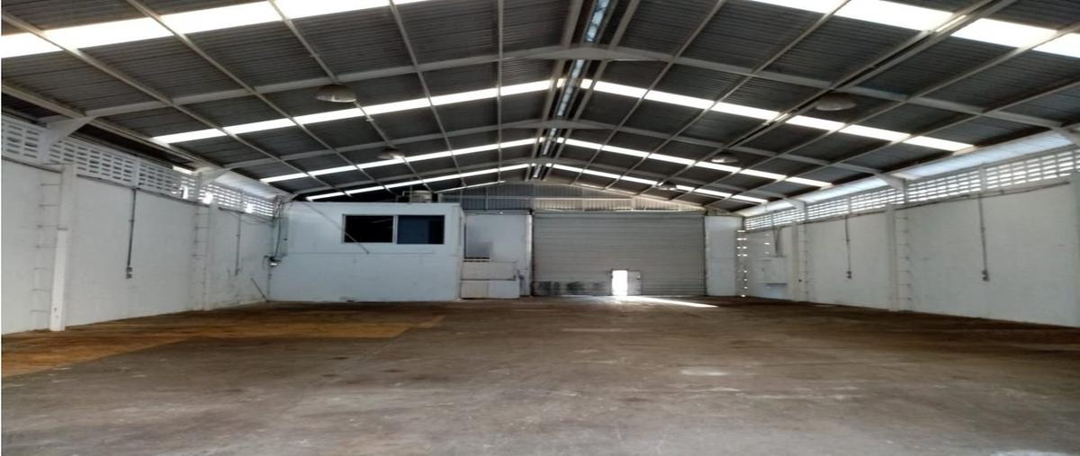 Foto de bodega en renta en  , puerto pesquero, carmen, campeche, 0 No. 04