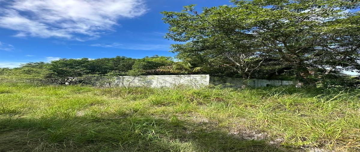 Foto de terreno habitacional en venta en  , puerto real, carmen, campeche, 24427091 No. 04