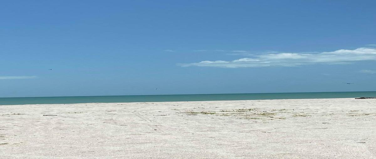 Foto de terreno habitacional en venta en  , puerto rico, carmen, campeche, 22251342 No. 04