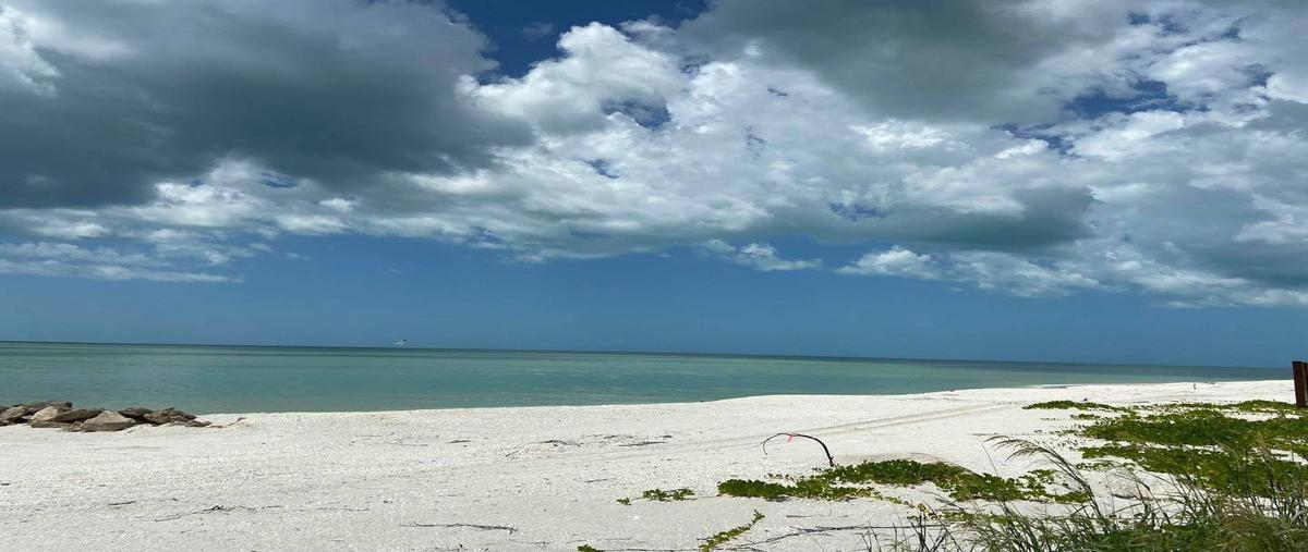 Foto de terreno habitacional en venta en  , puerto rico, carmen, campeche, 22251342 No. 05