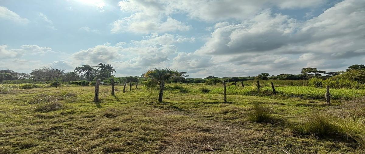 Foto de terreno habitacional en venta en  , puerto rico, carmen, campeche, 26240239 No. 03