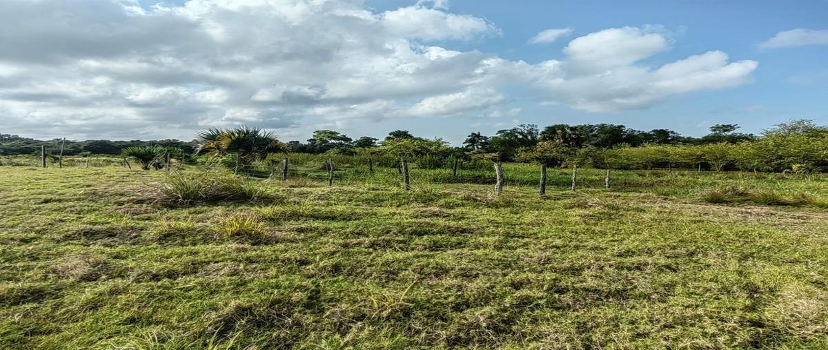 Foto de terreno habitacional en venta en  , puerto rico, carmen, campeche, 26240239 No. 04