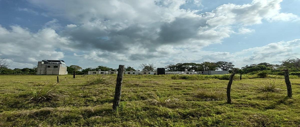 Foto de terreno habitacional en venta en  , puerto rico, carmen, campeche, 26240239 No. 05