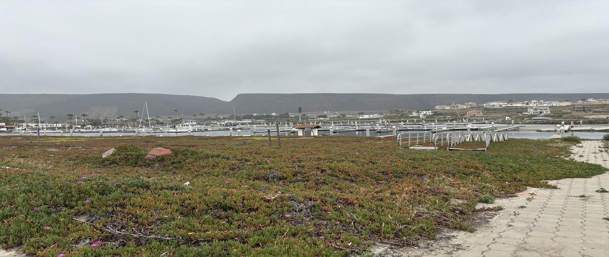 Foto de terreno habitacional en , puerto salina la marina, ensenada, baja california, 0 foto 05 Foto de terreno habitacional en venta en , puerto salina la marina, ensenada, baja california, 0 No. 05