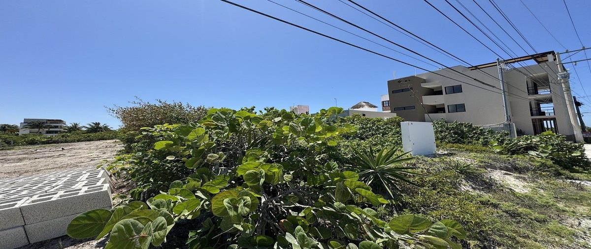 Foto de terreno habitacional en puerto , san diego, dzemul, yucatán, 0 foto 05 Foto de terreno habitacional en venta en puerto , san diego, dzemul, yucatán, 0 No. 05