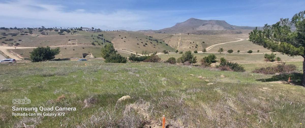 Foto de terreno habitacional en venta en puertos de occidente , mar de puerto nuevo ii, playas de rosarito, baja california, 0 No. 04
