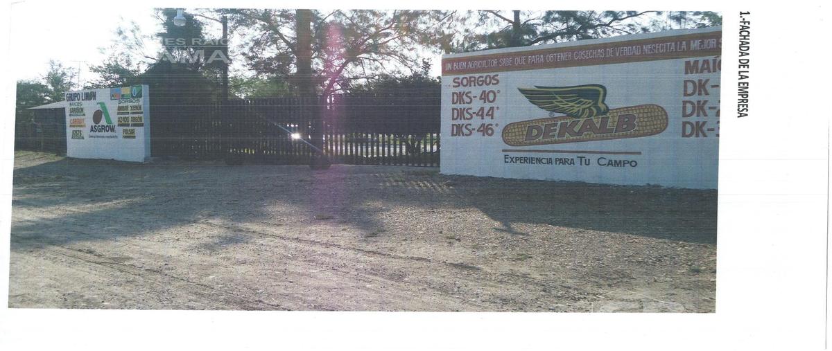 Foto de nave industrial en , pujal coy, ebano, san luis potosí, 7247563 foto 03 Foto de nave industrial en venta en , pujal coy, ebano, san luis potosí, 7247563 No. 03