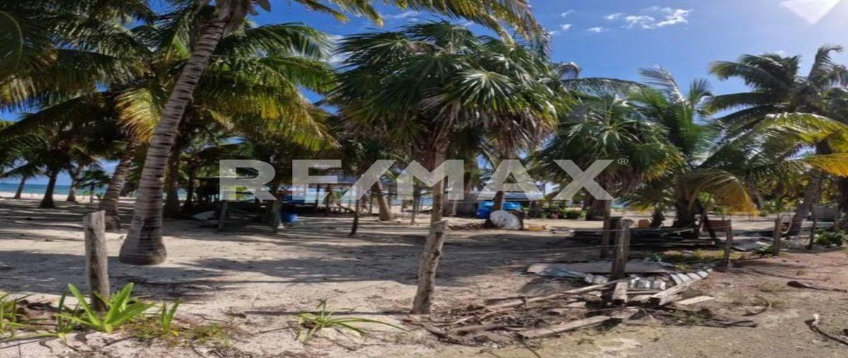 Foto de terreno habitacional en venta en pulticub , punta pulticub, bacalar, quintana roo, 30597103 No. 04