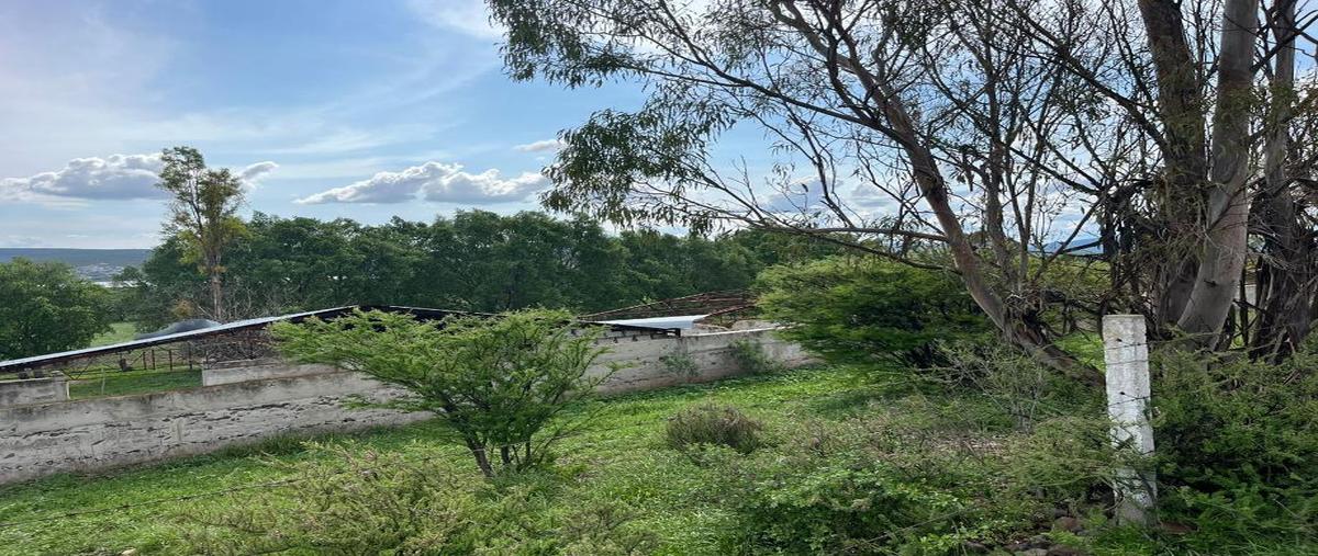 Foto de terreno habitacional en venta en puno conocido como el cerrito 0, ajuchitlán, colón, querétaro, 28477358 No. 04