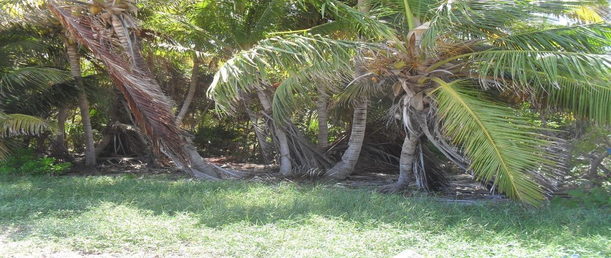 Foto de terreno habitacional en venta en punta allen , javier rojo gómez (punta allen), tulum, quintana roo, 26412249 No. 02