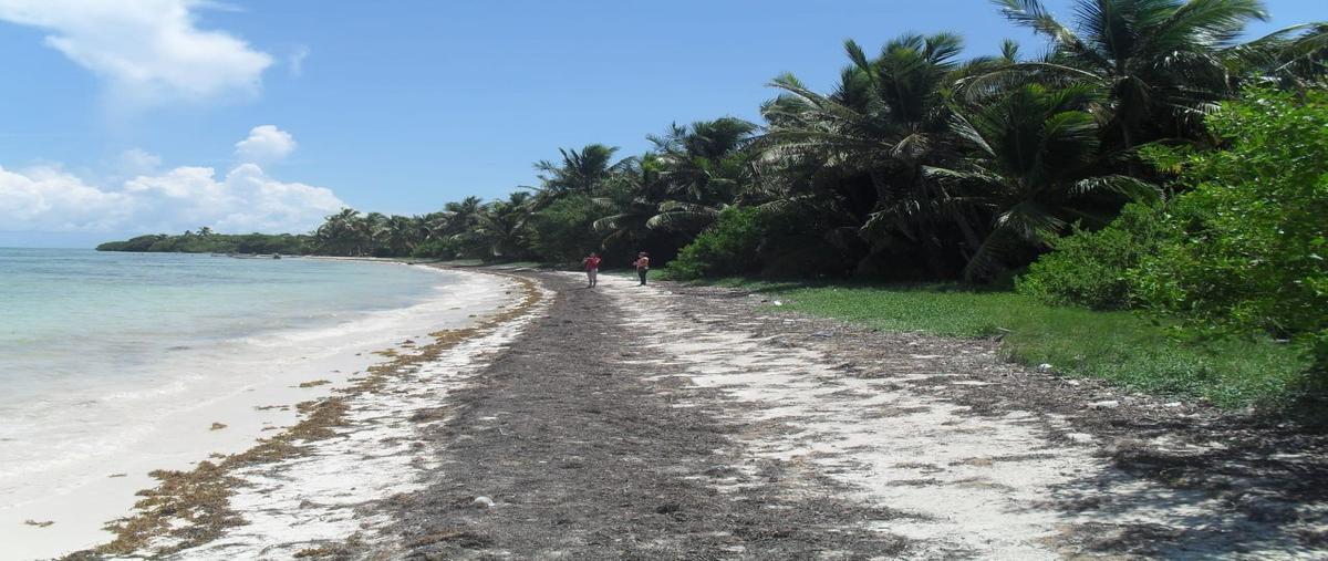 Foto de terreno habitacional en venta en punta allen , javier rojo gómez (punta allen), tulum, quintana roo, 26412249 No. 04