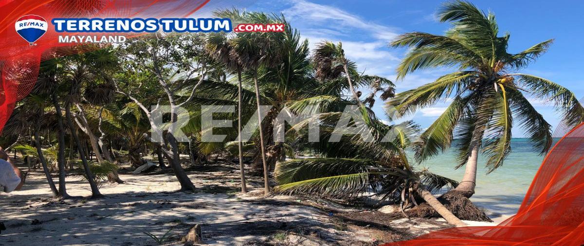 Foto de terreno comercial en venta en punta allen , javier rojo gómez (punta allen), tulum, quintana roo, 28173271 No. 03