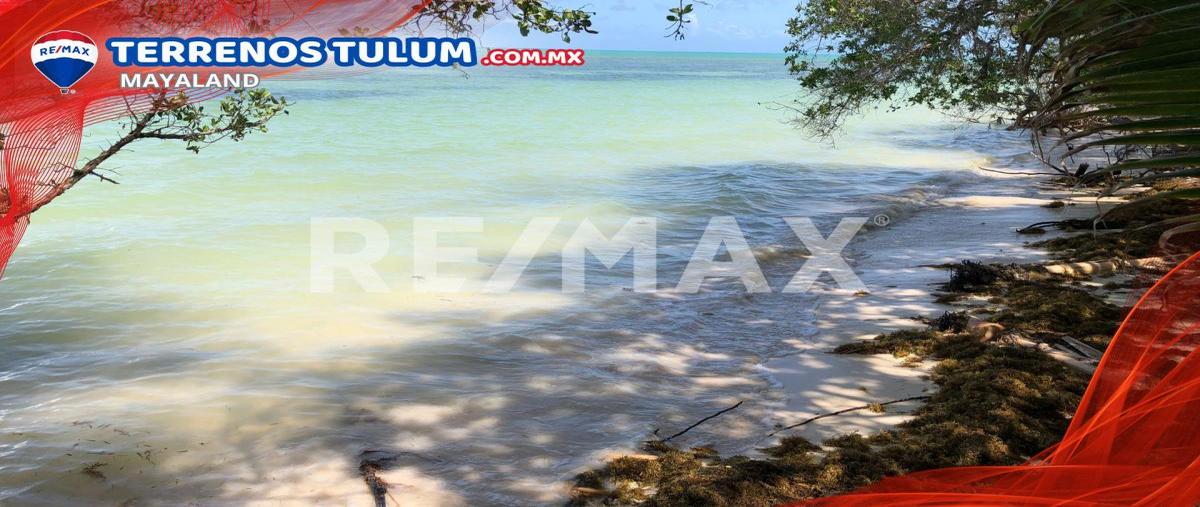 Foto de terreno comercial en venta en punta allen , javier rojo gómez (punta allen), tulum, quintana roo, 28173271 No. 04