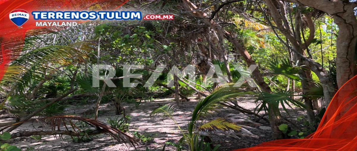 Foto de terreno comercial en venta en punta allen , javier rojo gómez (punta allen), tulum, quintana roo, 28173271 No. 05