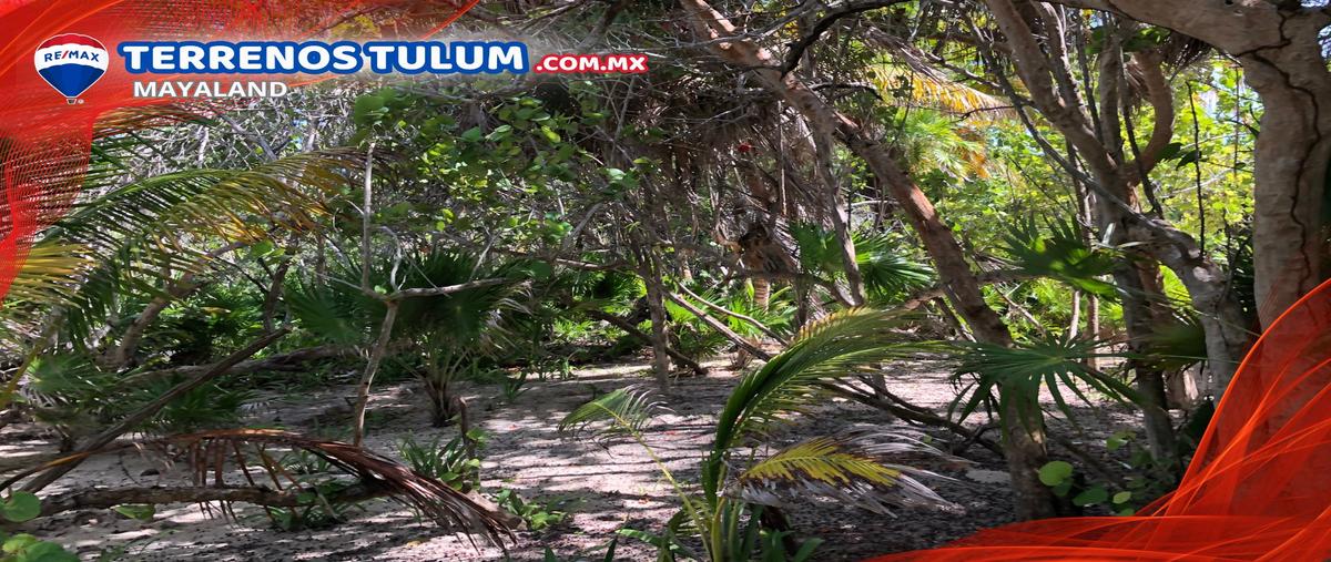 Foto de terreno comercial en venta en punta allen , javier rojo gómez (punta allen), tulum, quintana roo, 28173333 No. 03