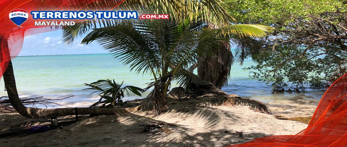 Foto de terreno comercial en venta en punta allen , javier rojo gómez (punta allen), tulum, quintana roo, 28173333 No. 05