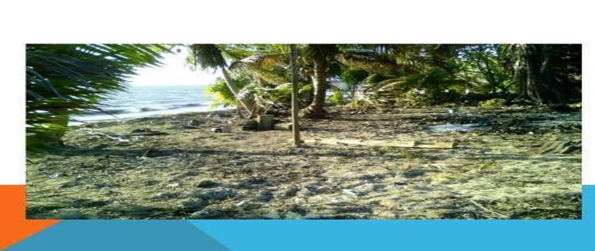 Foto de terreno habitacional en venta en punta allen , javier rojo gómez (punta allen), tulum, quintana roo, 0 No. 05