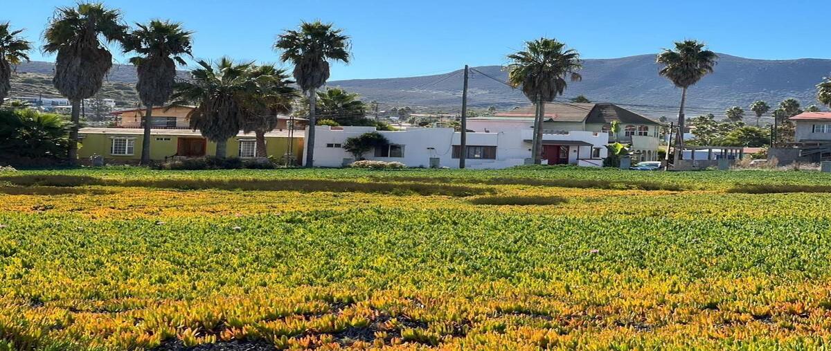 Foto de terreno habitacional en venta en  , punta banda ii, ensenada, baja california, 28281940 No. 03