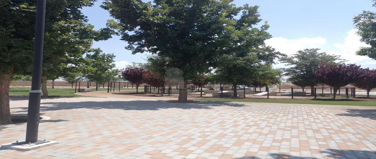 Foto de terreno habitacional en venta en punta bosque 147, eulalio gutiérrez treviño, saltillo, coahuila de zaragoza, 26593582 No. 04