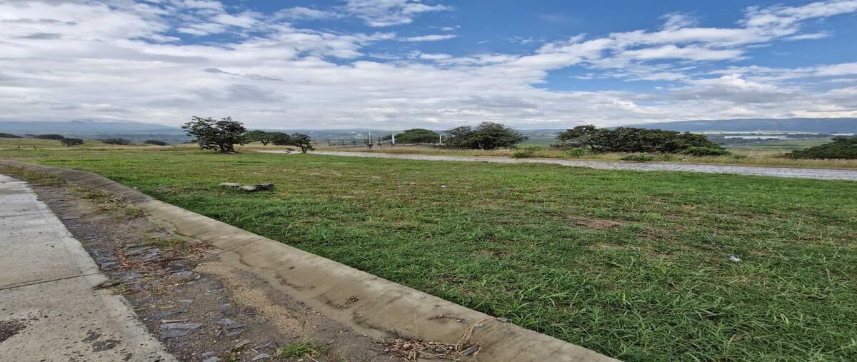 Foto de terreno habitacional en venta en punta bosque residencial , emiliano zapata, el arenal, jalisco, 0 No. 03