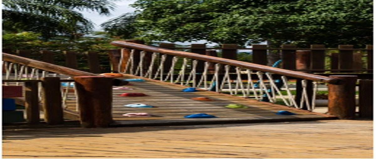 Foto de terreno habitacional en venta en punta campestre , atemajac de brizuela, atemajac de brizuela, jalisco, 0 No. 04