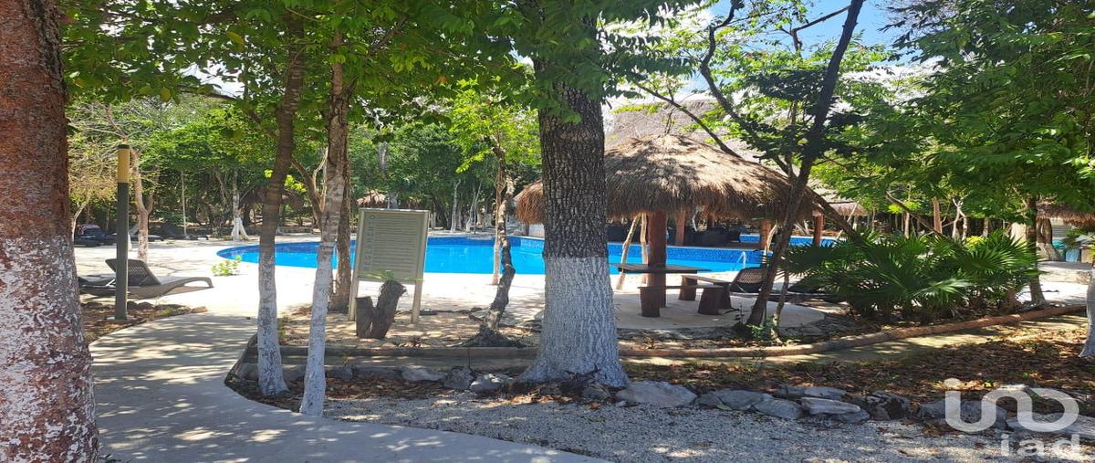 Foto de terreno habitacional en venta en punta caoba 96, puerto morelos, puerto morelos, quintana roo, 28723515 No. 04