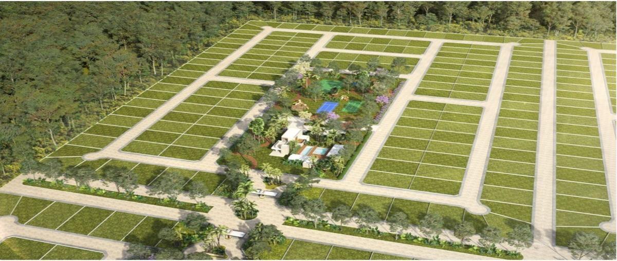 Foto de terreno habitacional en venta en  , punta chenyunyun, solidaridad, quintana roo, 25431338 No. 05