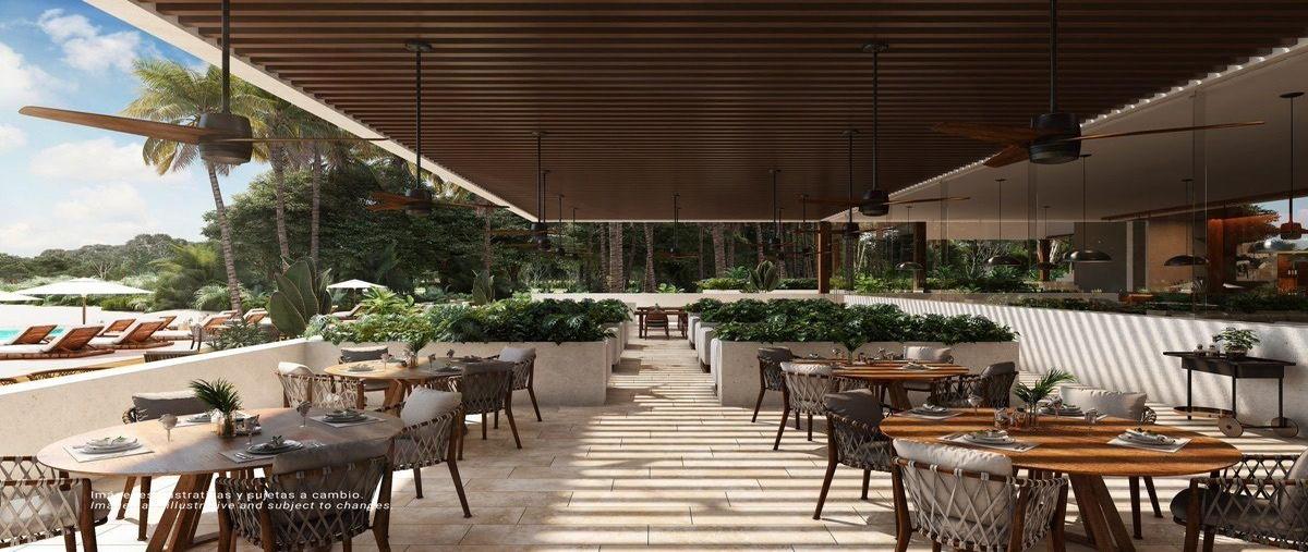 Foto de terreno habitacional en , punta chenyunyun, solidaridad, quintana roo, 30297831 foto 05 Foto de terreno habitacional en venta en , punta chenyunyun, solidaridad, quintana roo, 30297831 No. 05