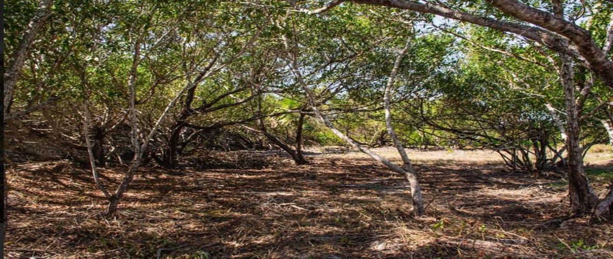 Foto de terreno habitacional en venta en punta coco , isla de holbox, lázaro cárdenas, quintana roo, 28172712 No. 05