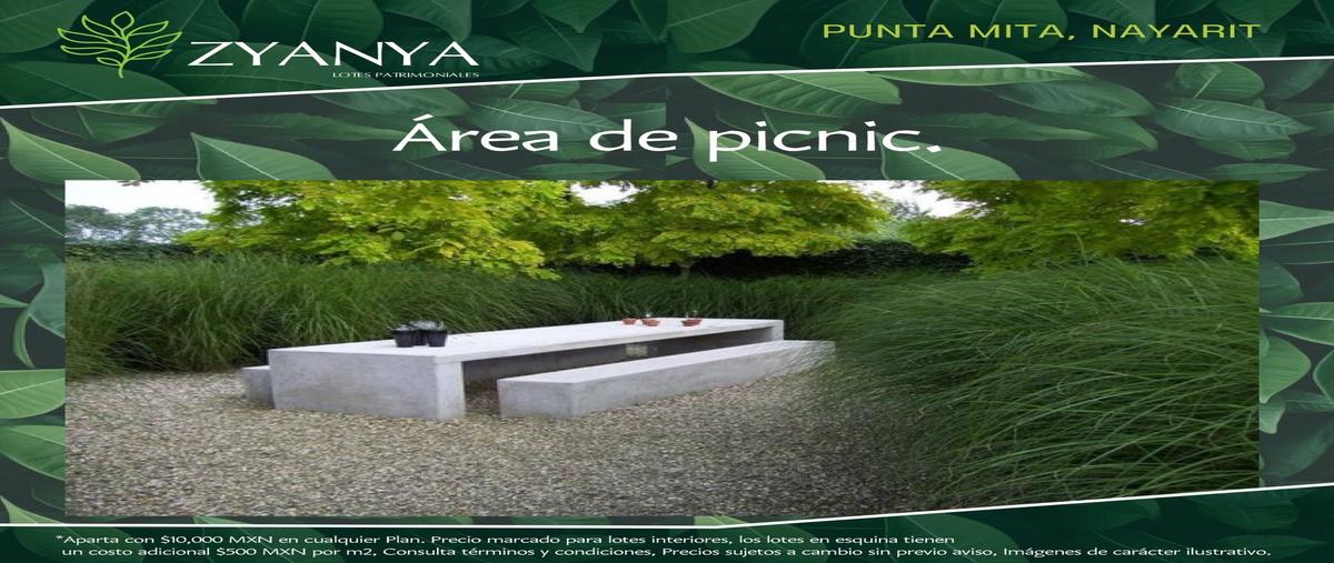 Foto de terreno habitacional en venta en  , punta de mita, bahía de banderas, nayarit, 29830227 No. 03