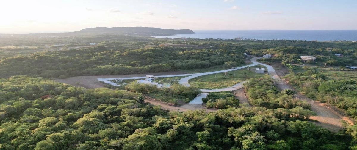 Foto de terreno habitacional en venta en  , punta de mita, bahía de banderas, nayarit, 0 No. 03