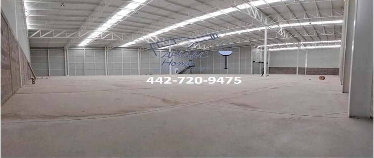 Foto de nave industrial en renta en  , punta de obrajuelo, apaseo el grande, guanajuato, 0 No. 04