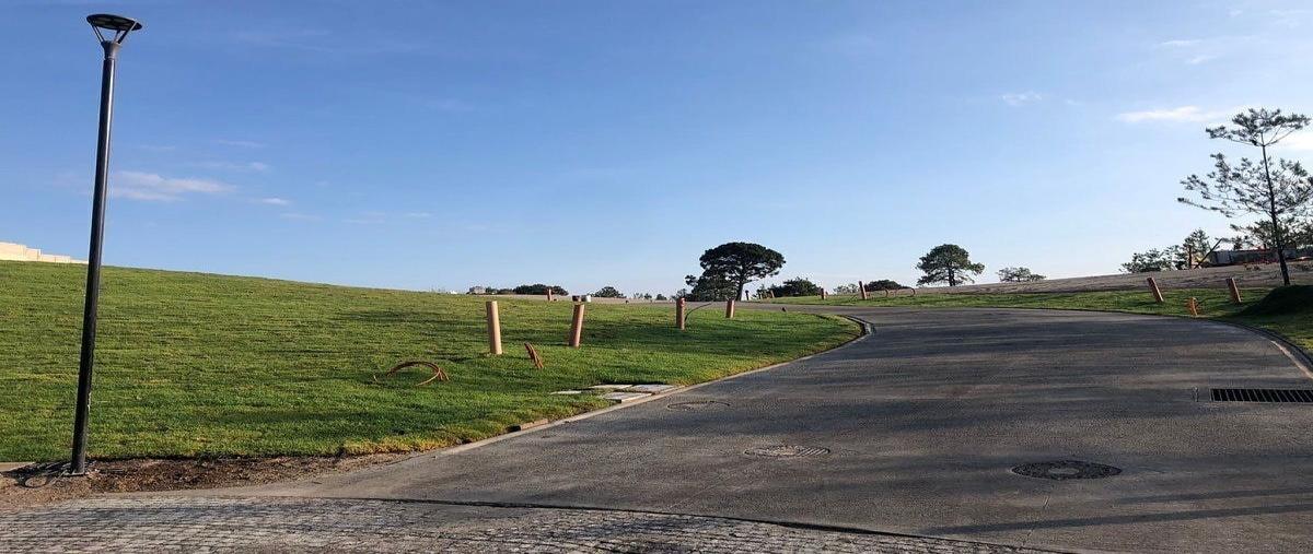 Foto de terreno habitacional en venta en punta lomas , puerta las lomas, zapopan, jalisco, 0 No. 05