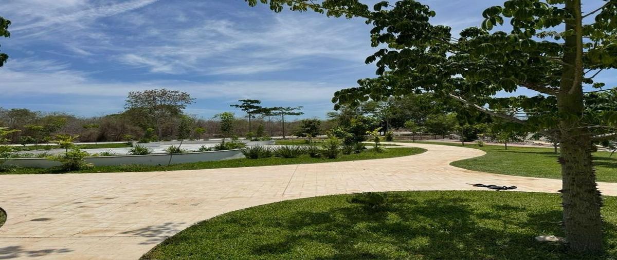 Foto de terreno habitacional en venta en punta misne residencial , paraíso, mérida, yucatán, 0 No. 04