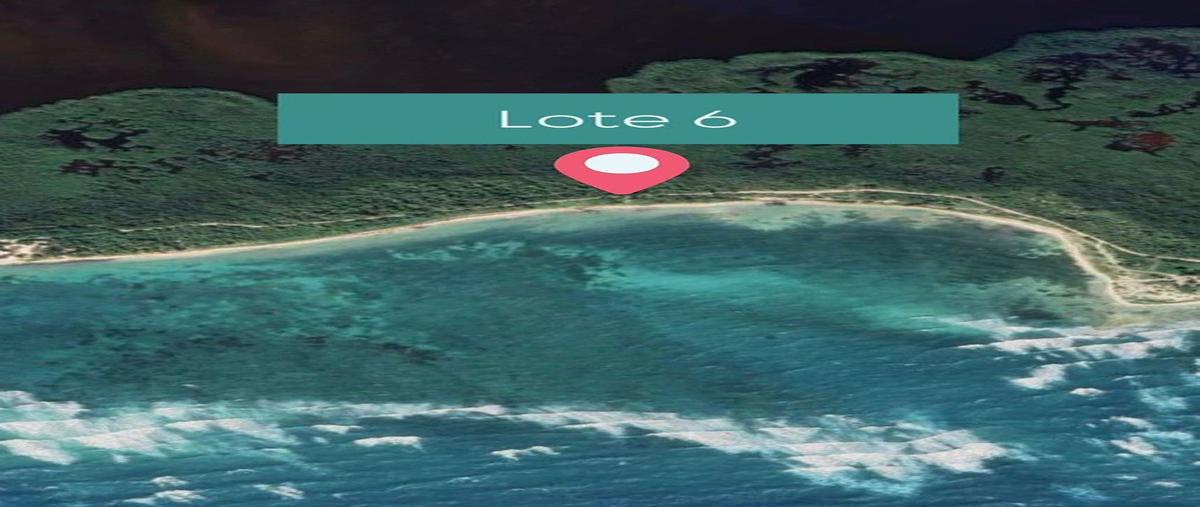 Foto de terreno habitacional en venta en punta mosquitero , felipe carrillo puerto centro, felipe carrillo puerto, quintana roo, 28526824 No. 06