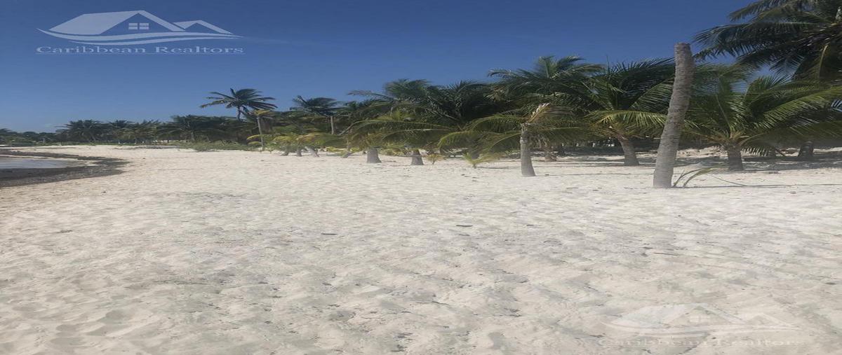 Foto de terreno habitacional en venta en  , punta sam, benito juárez, quintana roo, 18518127 No. 03