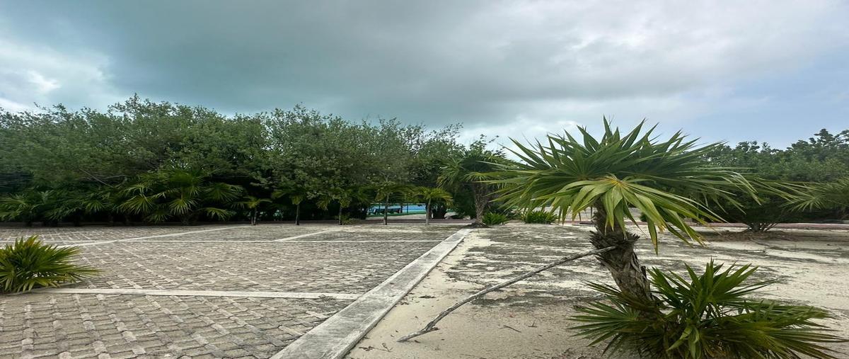Foto de terreno habitacional en , punta sam, benito juárez, quintana roo, 29295450 foto 04 Foto de terreno habitacional en venta en , punta sam, benito juárez, quintana roo, 29295450 No. 04