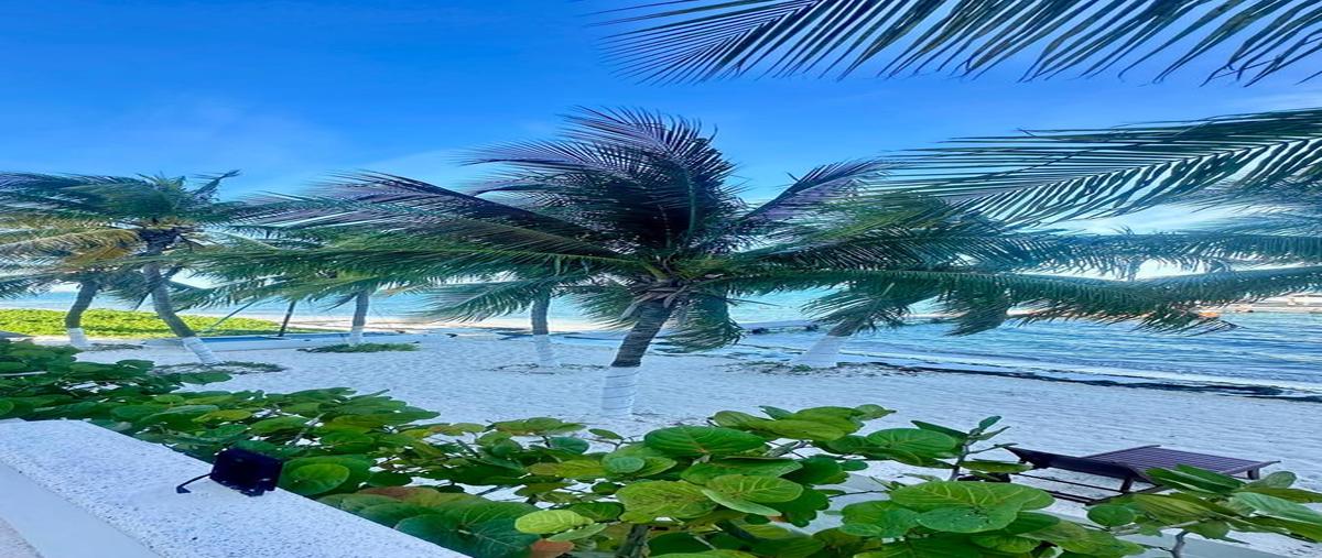 Foto de departamento en renta en  , punta sam, benito juárez, quintana roo, 30712106 No. 03