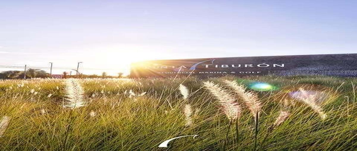 Foto de casa en venta en  , punta tiburón, residencial, marina y golf, alvarado, veracruz de ignacio de la llave, 0 No. 03