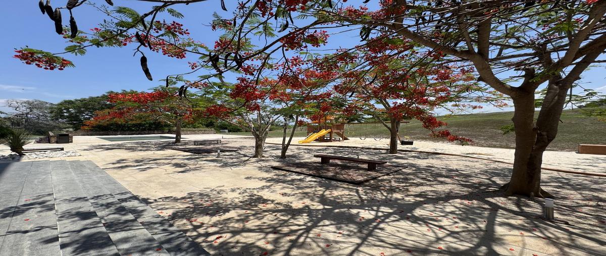 Foto de casa en venta en  , punta tiburón, residencial, marina y golf, alvarado, veracruz de ignacio de la llave, 30290305 No. 03