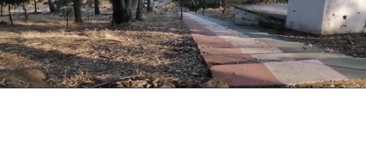 Foto de terreno habitacional en renta en  , purepero de echaiz, purépero, michoacán de ocampo, 0 No. 05