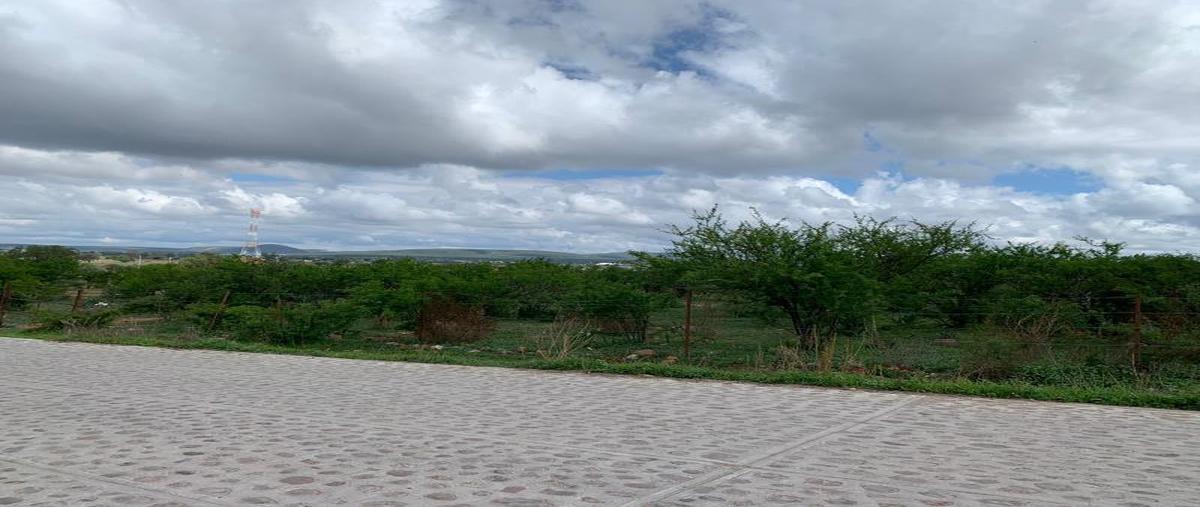 Foto de terreno habitacional en venta en purisima de cubos (la purisima) ., purísima de cubos (la purísima), colón, querétaro, 21153940 No. 04