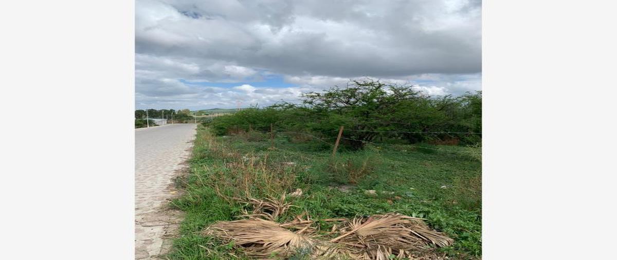 Foto de terreno habitacional en venta en purisima de cubos (la purisima) ., purísima de cubos (la purísima), colón, querétaro, 21153940 No. 05