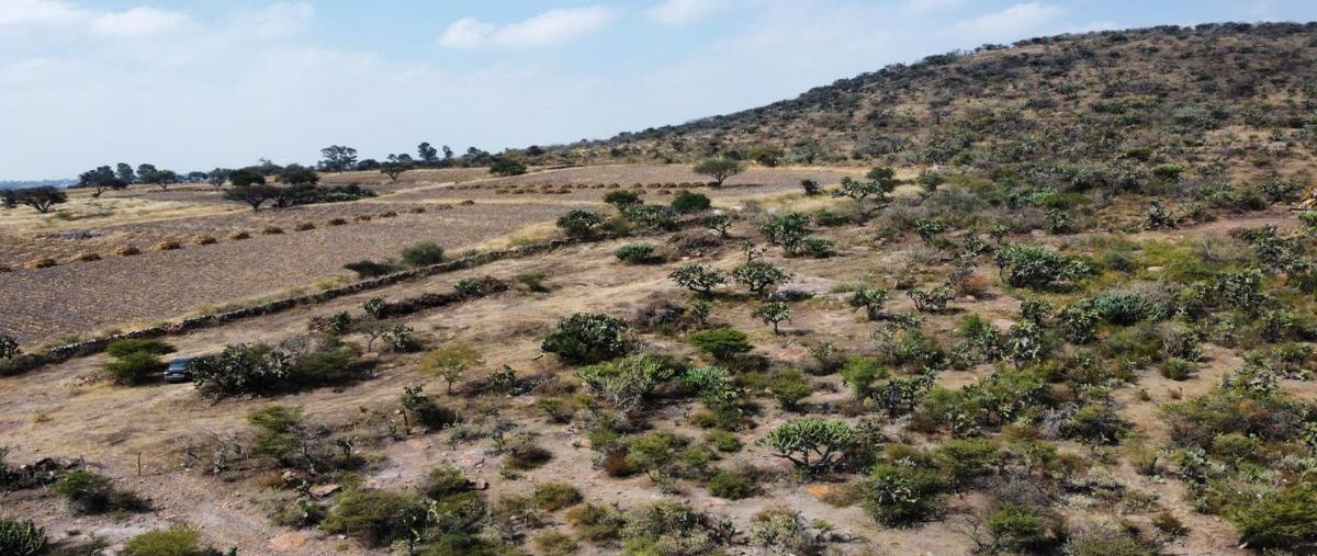 Foto de terreno habitacional en venta en  , purísima de san rafael, corregidora, querétaro, 27379844 No. 05