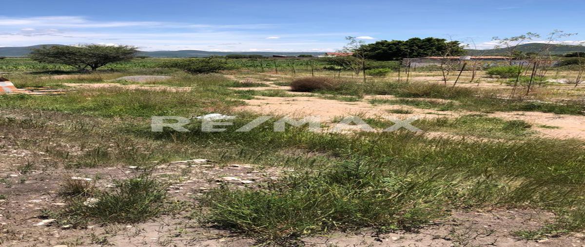 Foto de terreno comercial en purisima de san rafael , purísima de san rafael, corregidora, querétaro, 0 foto 05 Foto de terreno comercial en venta en purisima de san rafael , purísima de san rafael, corregidora, querétaro, 0 No. 05