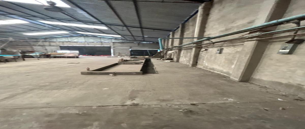 Foto de bodega en purisima del jardín , purísima del jardín, irapuato, guanajuato, 28742152 foto 05 Foto de bodega en renta en purisima del jardín , purísima del jardín, irapuato, guanajuato, 28742152 No. 05