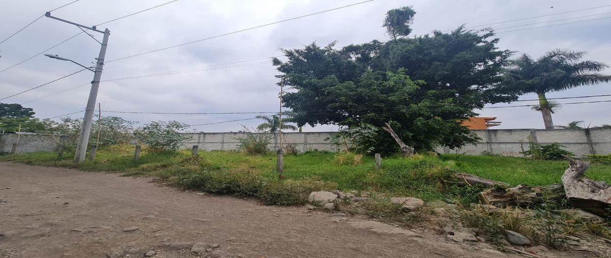 Foto de terreno habitacional en venta en puxtla, cuautla, morelos , puxtla, cuautla, morelos, 24960323 No. 03