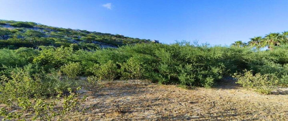 Foto de terreno habitacional en venta en p de cabras , los barriles, la paz, baja california sur, 0 No. 07